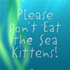 Please Don't Eat the Sea Kittens